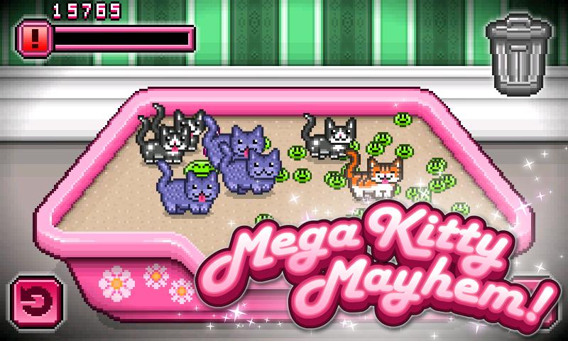 Kitty Clutter
